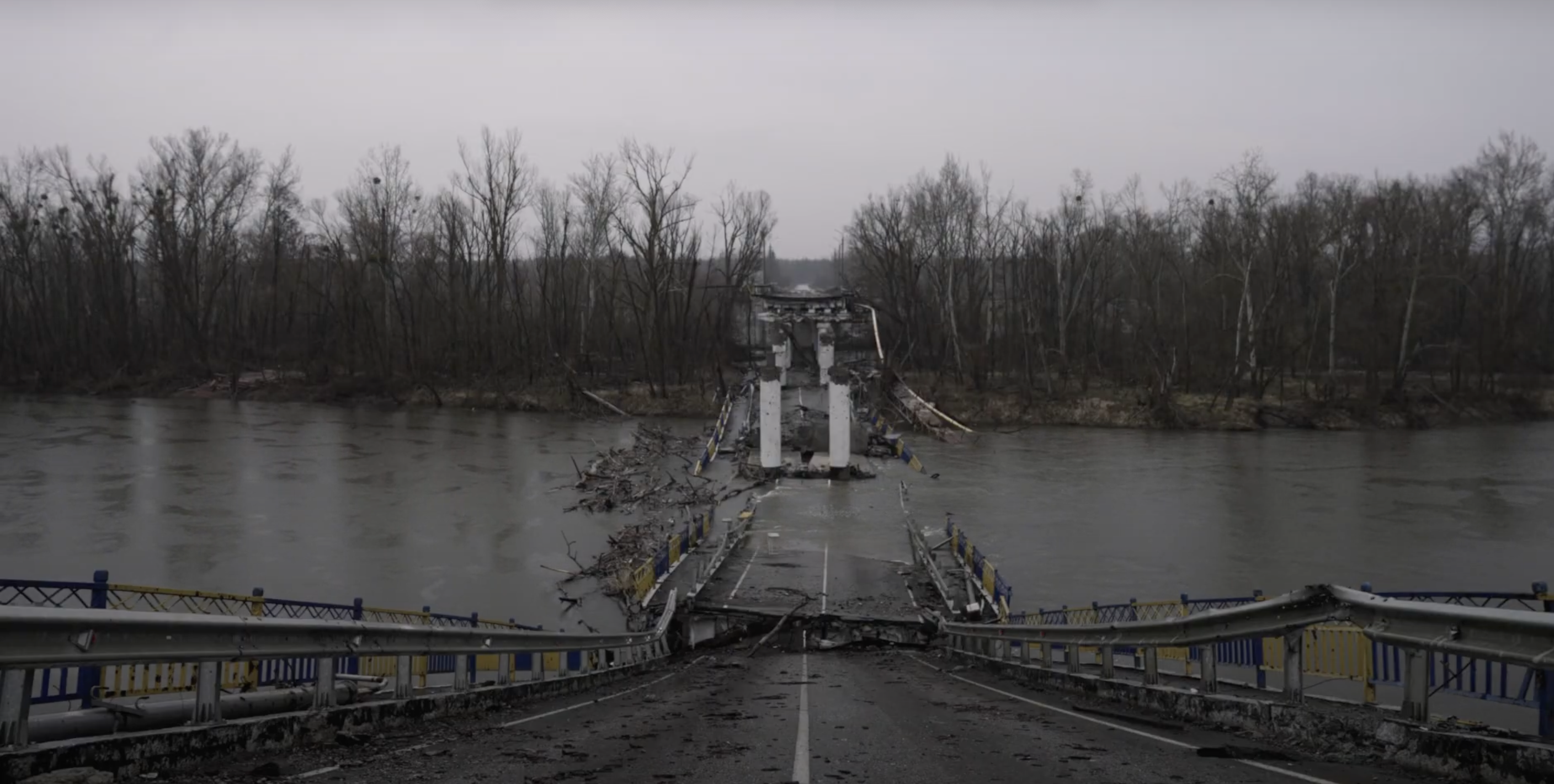 Єдиний український фільм у Каннах-2025: що треба знати про "МІЛІТАНТРОПОС" і чому він важливий